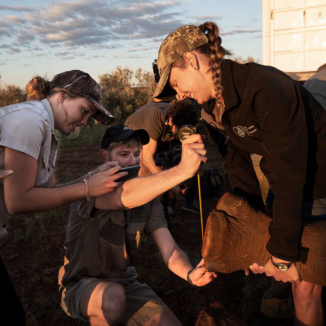 VOLUNTEERING TO SAVE WHITE RHINO