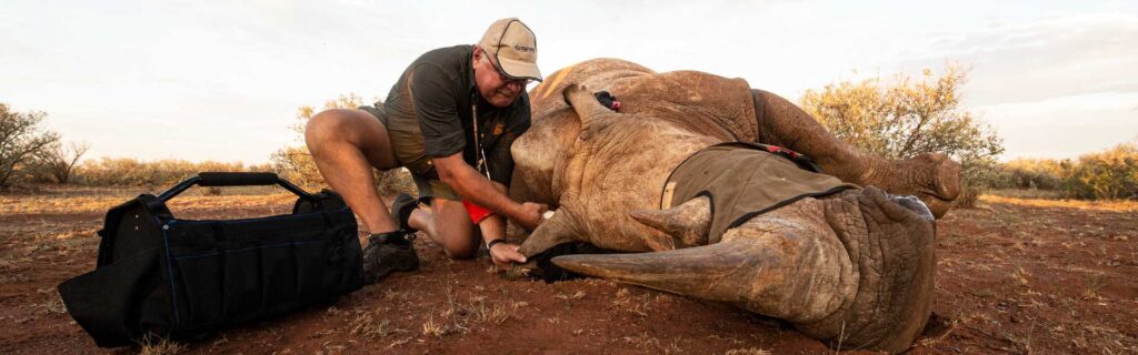 poaching to get rhino horn