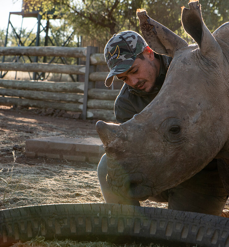 Rockwood Conservation nursery rhino 4