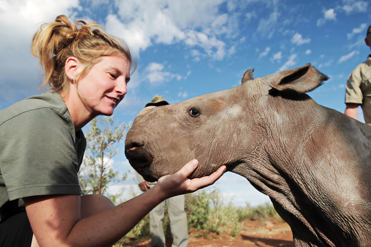 Rockwood Conservation nursery rhino