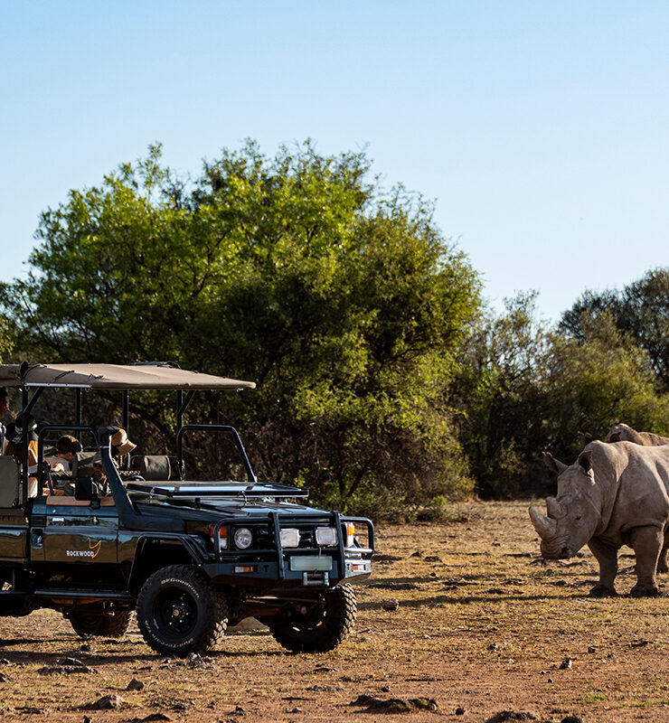 Rockwood Conservation accommodation rhino experience
