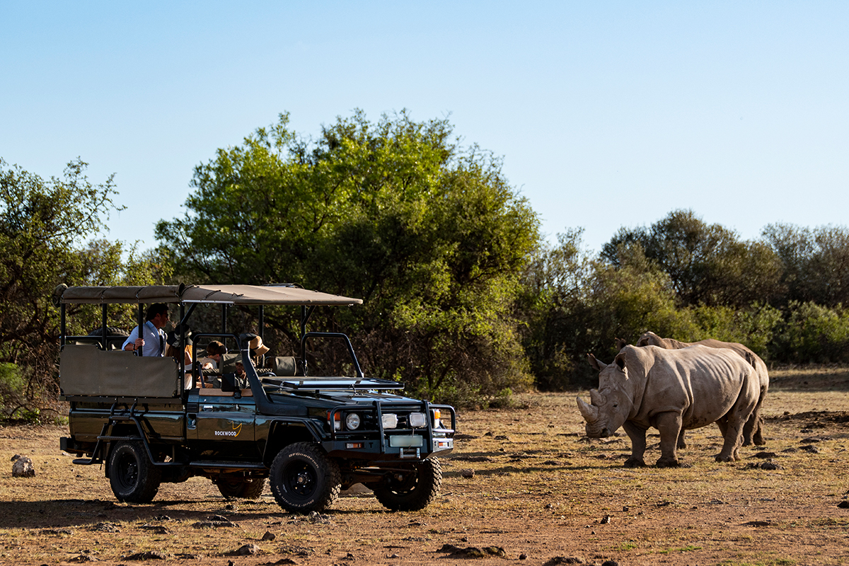 Rockwood Conservation accommodation rhino experience